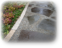 アプローチのあしらい